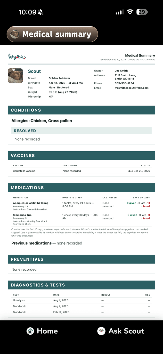 Medical summary